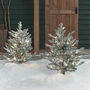 Two 3ft Dual LED Snowy Outdoor Christmas Tree Stakes, thumbnail 4 of 4