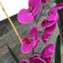 Large Cerise Pink Artificial Silk Orchid Arrangement, thumbnail 4 of 7