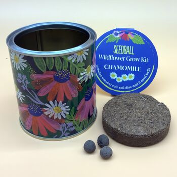 Wildflower Grow Kit With Forget Me Not Or Chamomile Seeds, 2 of 10