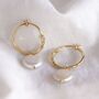 Pearl Gold Hoop Earrings, thumbnail 3 of 6