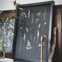 A3 Framed Pressed Flower Art – Shadow Garden On Black, thumbnail 1 of 8
