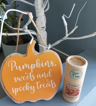 Pumpkin Seeds Gift, 2 of 4