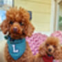 Personalised Polka Dot Dog Tie On Bandana Red Or Green, thumbnail 8 of 12