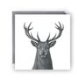 Majestic Stag Greeting Card, thumbnail 1 of 4