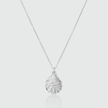 Gaia Sterling Silver Oyster Shell And Pearl Necklace, 2 of 11