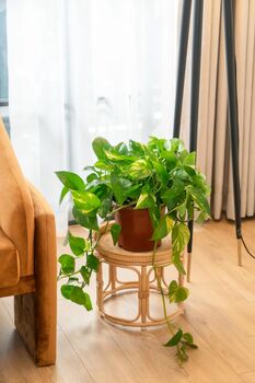 Small Rattan Eco Friendly Side Table, 2 of 4