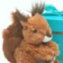 Scottish Red Squirrel Toy And Happy Birthday Keyring, thumbnail 7 of 7