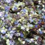 Charm Biodegradable Glitter, thumbnail 3 of 5