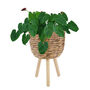 Wicker Planter Basket For Indoor And Outdoor, thumbnail 2 of 6