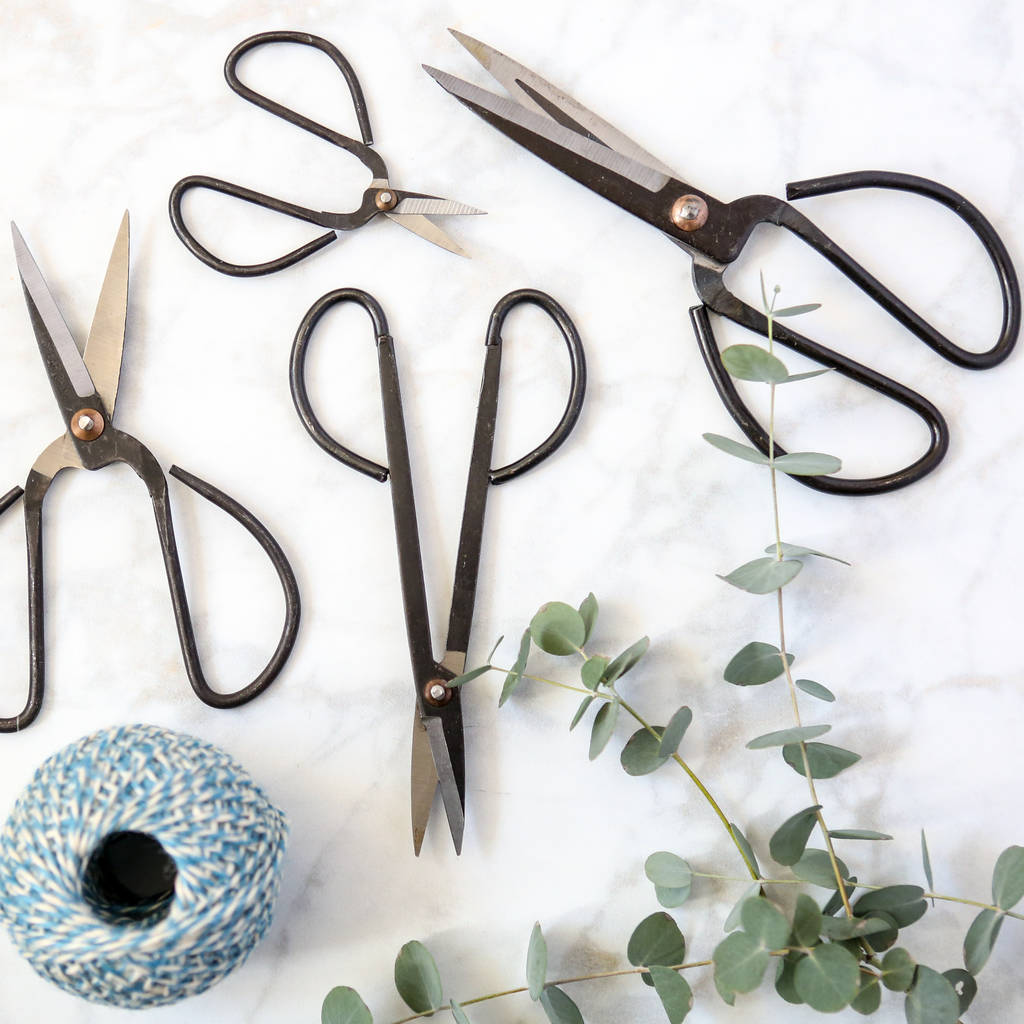 traditional black iron scissors by berylune