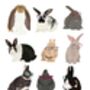 Rabbit Family In Glasses, thumbnail 2 of 2