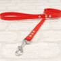 Waterproof Dog Collar And Lead Set Red, thumbnail 3 of 3