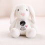 Personalised Big Sister Scan Bunny Plush, thumbnail 3 of 5