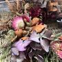 Autumn Dried Flower Wreath 'Bronte', thumbnail 7 of 8