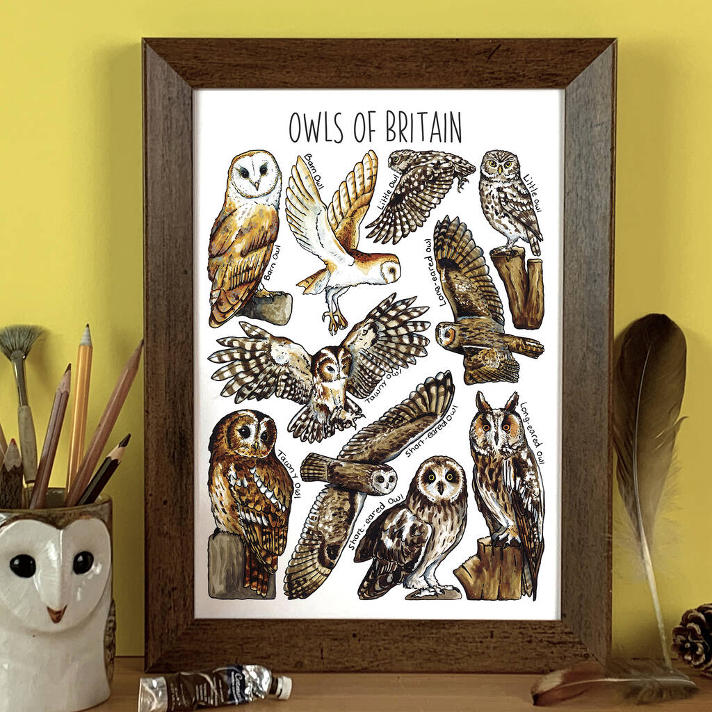 Owls Of Britain Wildlife Watercolour Print, 1 of 5