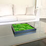 Preserved Moss In Ceramic Sugar Bowl For Table Centrepiece, thumbnail 6 of 6