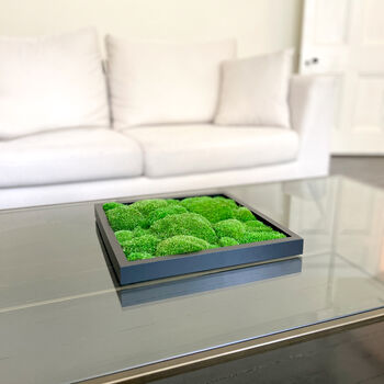 Preserved Moss In Ceramic Sugar Bowl For Table Centrepiece, 6 of 6