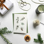 Winter Foliage Hand Illustrated Christmas Card/Set, thumbnail 1 of 4
