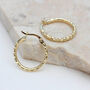 9ct Yellow Gold Diamond Cut Hoops, thumbnail 1 of 3