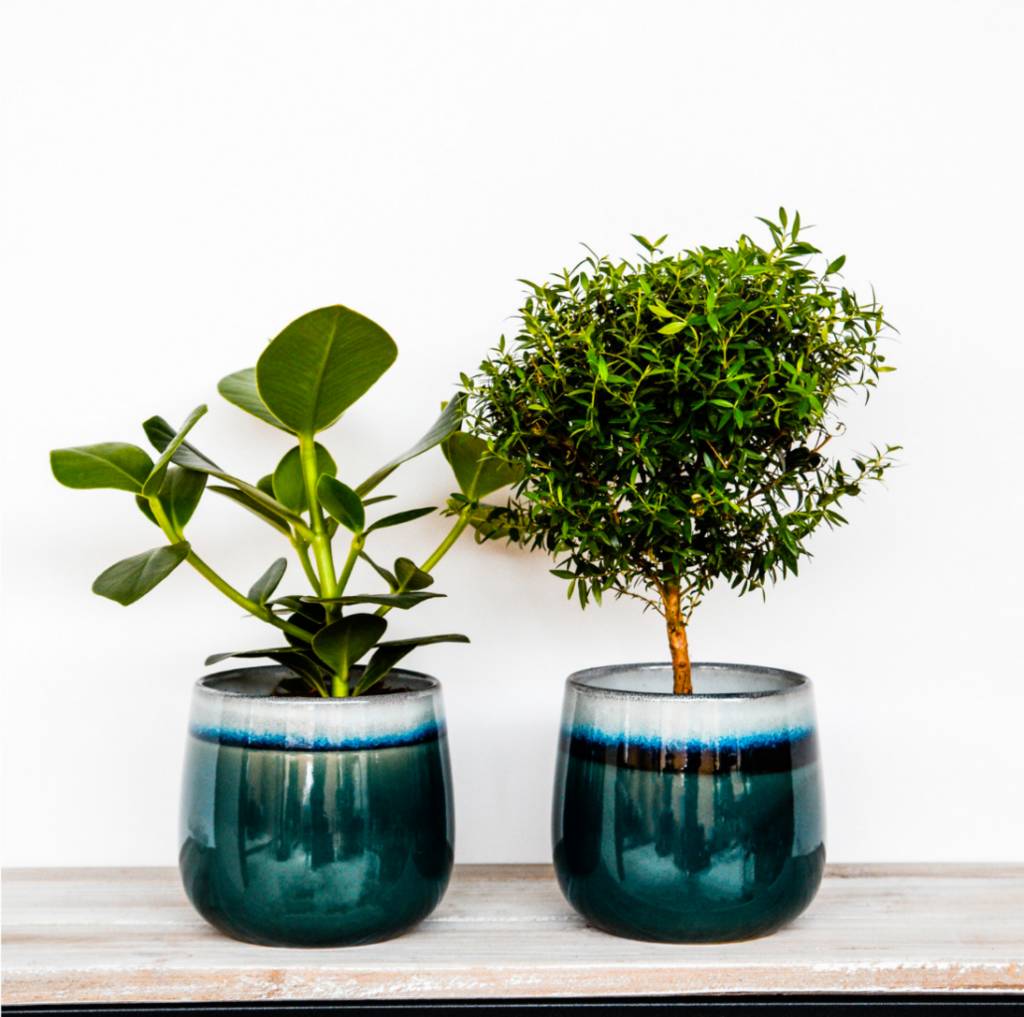 Marine Glaze Plant Pots By Blackdown Lifestyle