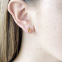 Gold Vermeil Cowrie Shell Studs, thumbnail 2 of 3