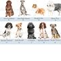 Personalised Dog Mum Mug, thumbnail 6 of 6