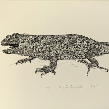 X For Xenosaurus Lizard Illustration Print, 4 of 6