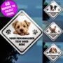 Personalised Dog On Board Car Sign, thumbnail 1 of 12