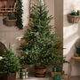 Hartford Pre Lit Potted Christmas Tree, thumbnail 1 of 3