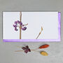 Botanical Card With 'Beautyberry' Illustration, thumbnail 1 of 2
