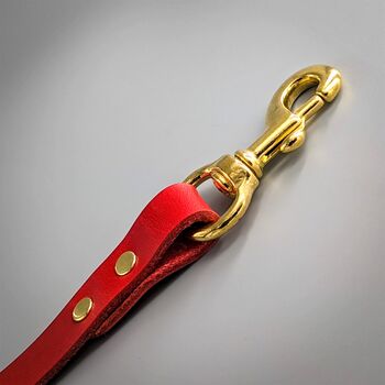 Luxury Leather Dog Collar And Matching Lead Set Red, 9 of 12