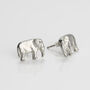 Elephant Stud Earrings, thumbnail 1 of 4