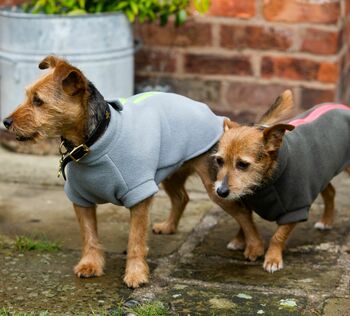 Small Terrier Polartec Water Resistant Dog Coat, 5 of 10