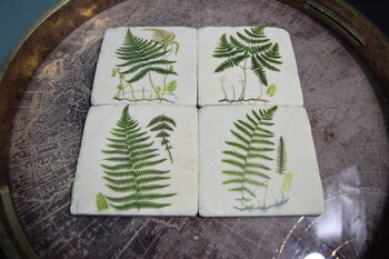 Fern Coasters Set Of Four Table Protectors Plant Lover, 5 of 6