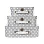 Personalised Set Of Three Bright Child Suitcases, thumbnail 5 of 5
