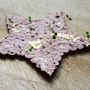 Scalloped Star Seedpaper Christmas Tree Decorations, thumbnail 4 of 7