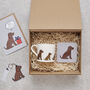 Chocolate Cocker Spaniel Dog Walking Socks, thumbnail 11 of 12