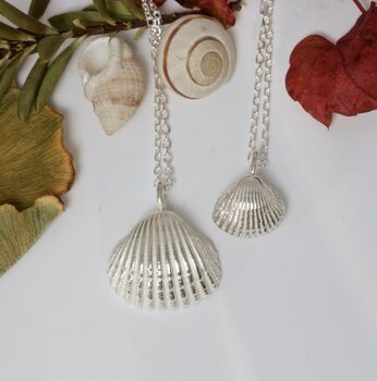 Sterling Silver Clam Shell Necklace By Caroline Brook ...