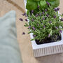 Mela Wide White Ribbed Planter, thumbnail 4 of 5