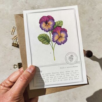 Botanical Garden Flowers Postcards Gift Set, 9 of 10