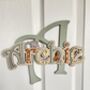 Personalised Name Sign For Kids Wall Initial Door Sign, thumbnail 10 of 12