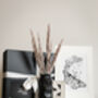 The Modern Botanist Luxury Christmas Gift Box, thumbnail 8 of 9