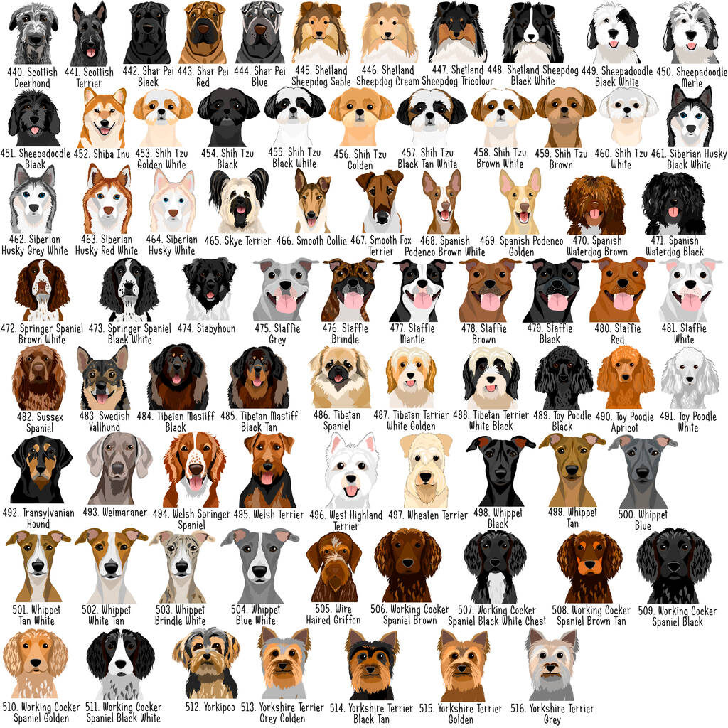 Dog Breed ID Tag Personalised Realistic Illustrations By Hoobynoo