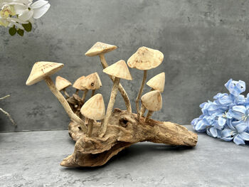 20cm Hand Carved Wooden Mushroom Figurine Coffee Root Wood, 12 of 12