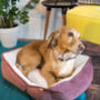 Luxury Soft Quilted Dog Bed, thumbnail 8 of 9