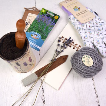 Grow Your Own Lavender Garden Gift, 4 of 7