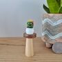 Mini Felt Cactus Letterbox Gift, thumbnail 5 of 7