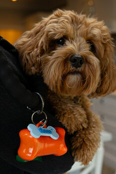 Personalised Dog Lead Name Tag, 5 of 5