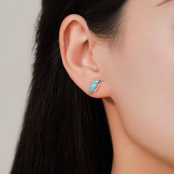 Sterling Silver Kingfisher Stud Earrings, 6 of 11