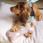 Mutts And Hounds Cotton Squeaky Bone Dog Toy, thumbnail 2 of 4